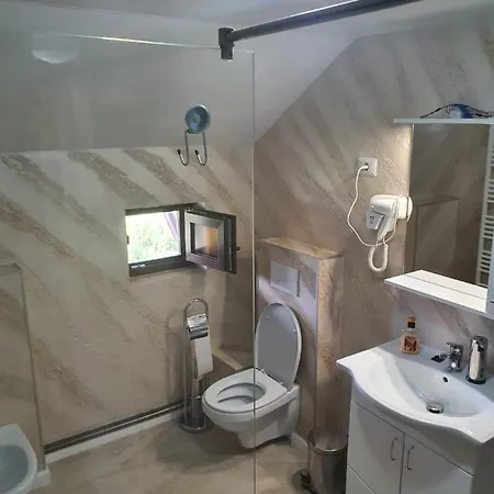 ホームステイ Casa Brancusiana