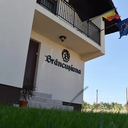 Casa Brancusiana